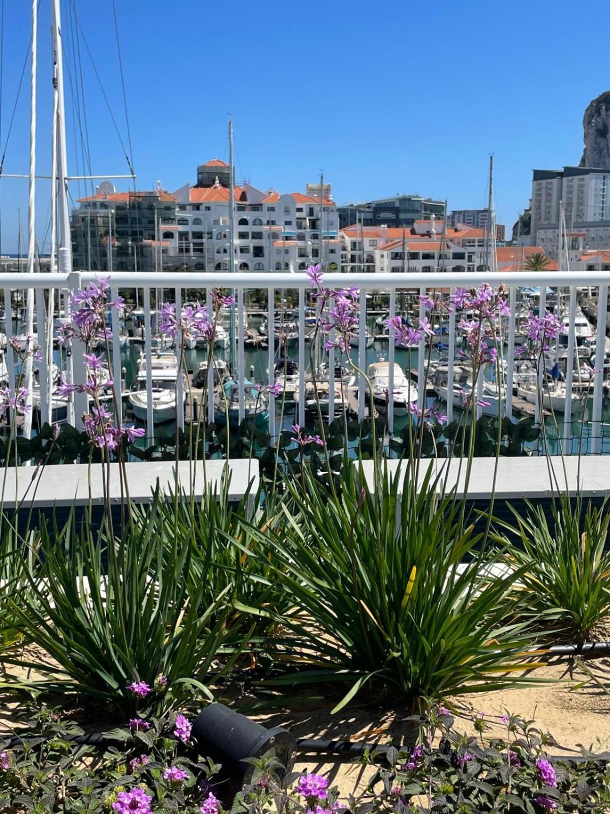 Marina Club Luxury Private Studio With Pool And Incredible Views Gibraltar Exterior foto